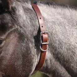 Billy Royal Leather ID Collar -Weaver Leather Shop 42784 alt b