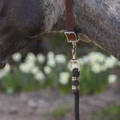 Billy Royal Leather ID Collar -Weaver Leather Shop 42784 alt d