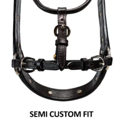 Billy Royal Gold Standard Fitted Show Halter For Horses -Weaver Leather Shop 43247 feature c overlay