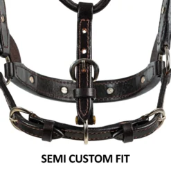 Billy Royal Emma Fitted Show Halter For Horses -Weaver Leather Shop 43273 feature d overlay