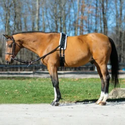 Dura-Tech Fleece Lined Training Surcingle For Horses 16 Dura-Tech Fleece Lined Training Surcingle For Horses -Weaver Leather Shop 43293 alt e