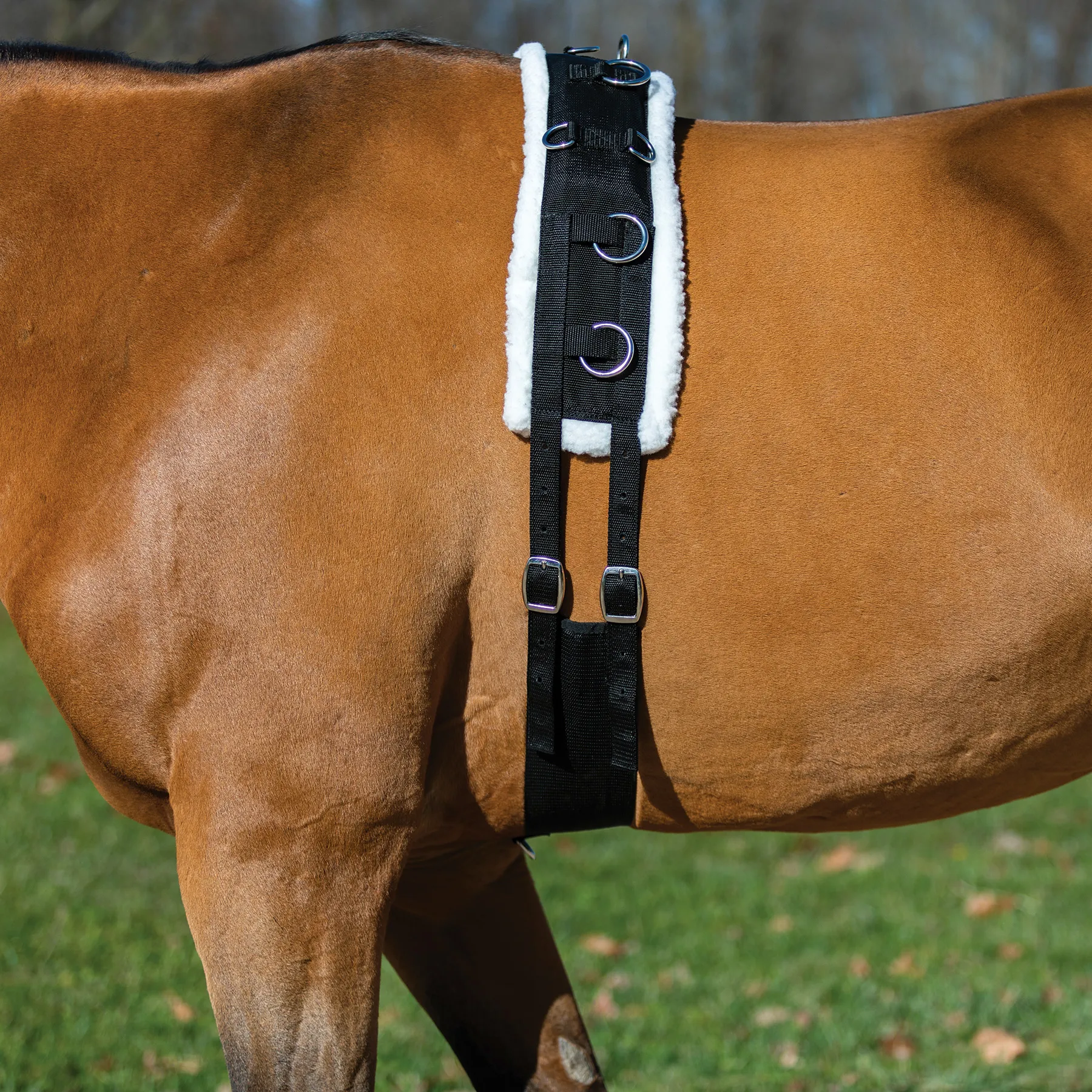 Dura-Tech Fleece Lined Training Surcingle For Horses 7 Dura-Tech Fleece Lined Training Surcingle For Horses - Image 7