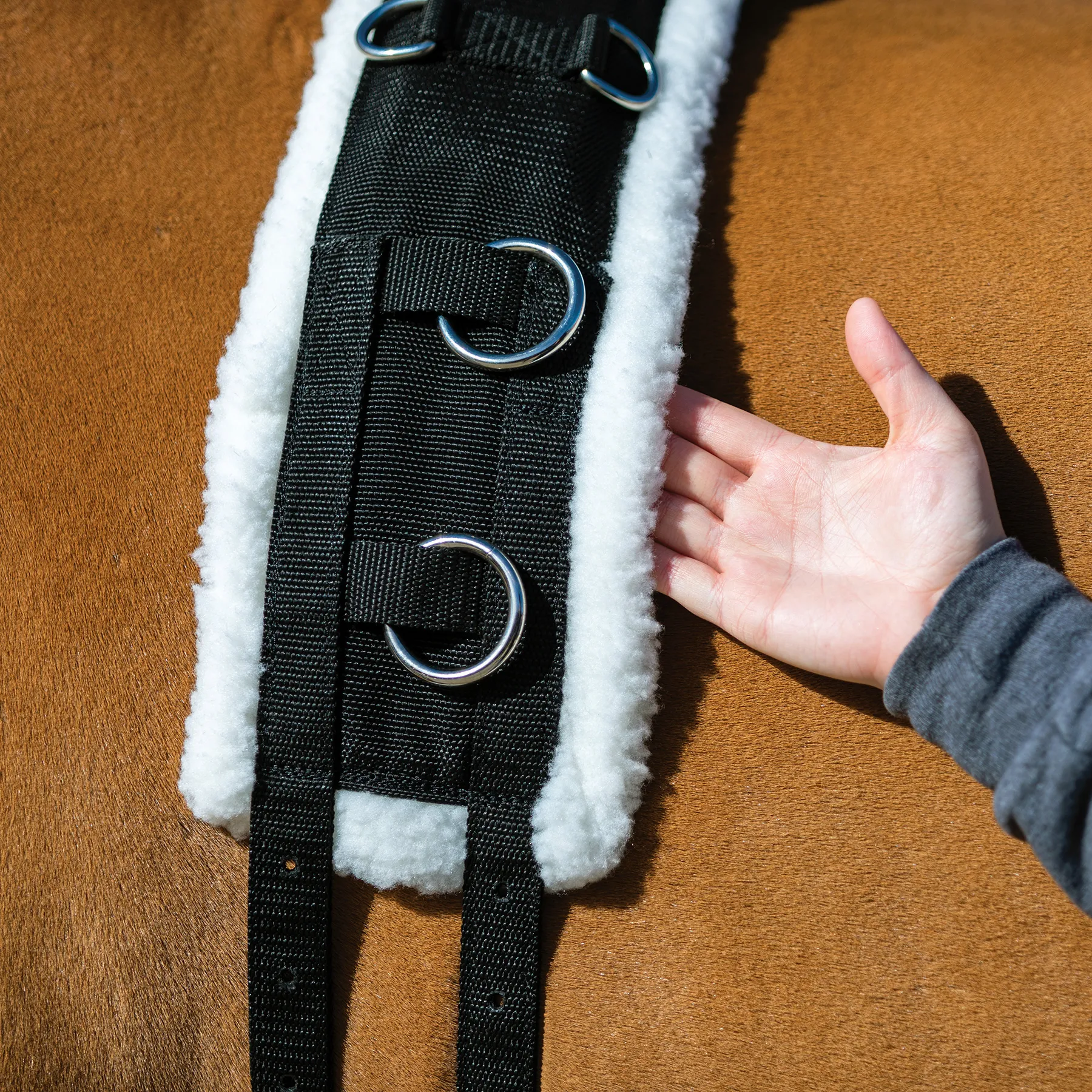 Dura-Tech Fleece Lined Training Surcingle For Horses 9 Dura-Tech Fleece Lined Training Surcingle For Horses - Image 9