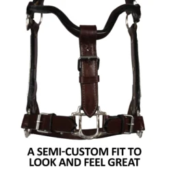 Double S Dixie Horse Show Halter With Lead -Weaver Leather Shop 43334 feature b overlay