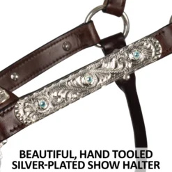 Double S Dixie Horse Show Halter With Lead -Weaver Leather Shop 43334 feature c overlay