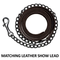 Double S Dixie Horse Show Halter With Lead -Weaver Leather Shop 43334 feature d overlay