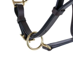 Premier® Premier Leather And Rope Control Halter -Weaver Leather Shop 43373 alt b
