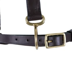 Premier® Premier Leather And Rope Control Halter -Weaver Leather Shop 43373 alt c