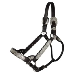 Billy Royal® Scalloped Silver Western Horse Show Halter 13 Billy Royal® Scalloped Silver Western Horse Show Halter -Weaver Leather Shop 43619 darkoil