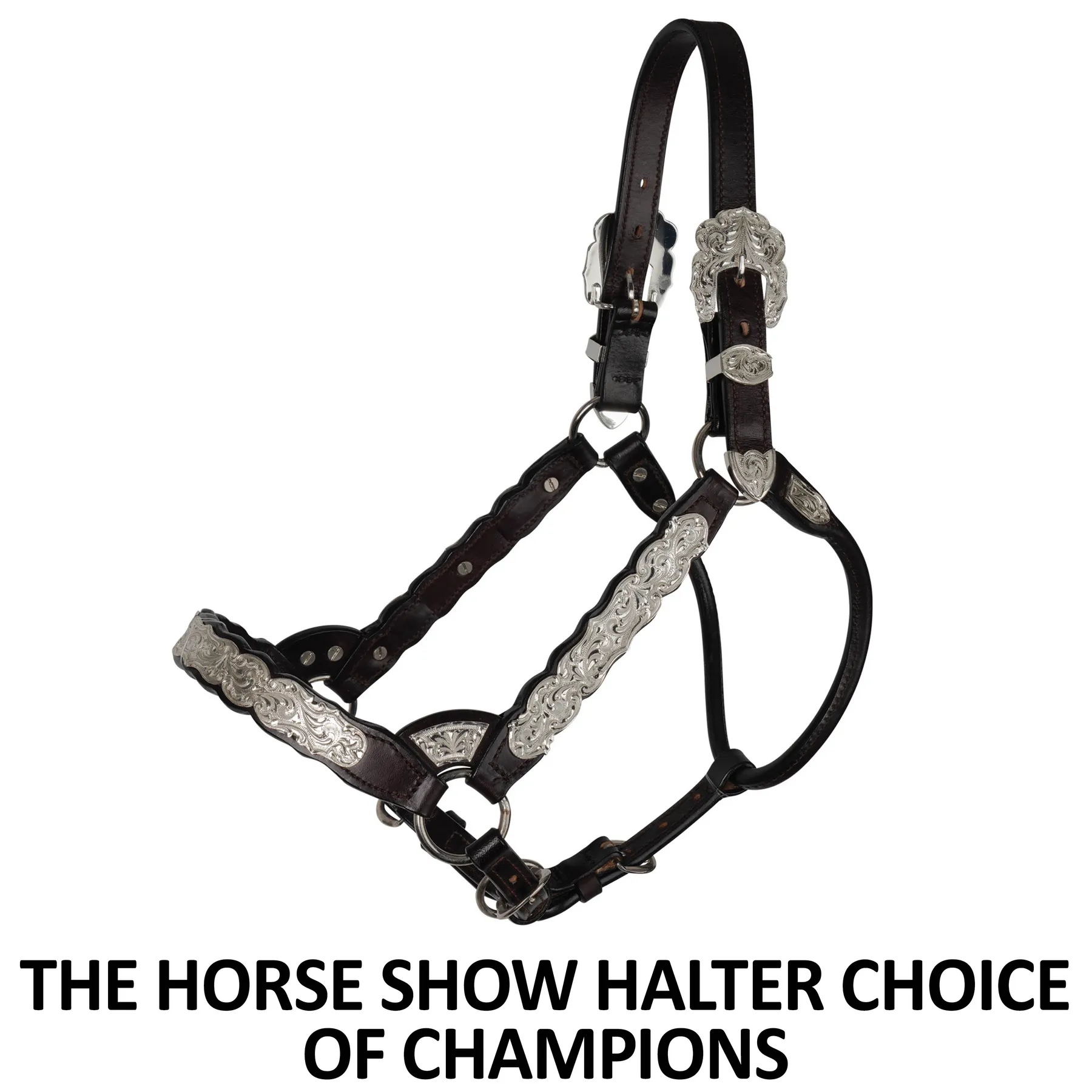 Billy Royal® Scalloped Silver Western Horse Show Halter 2 Billy Royal® Scalloped Silver Western Horse Show Halter - Image 2