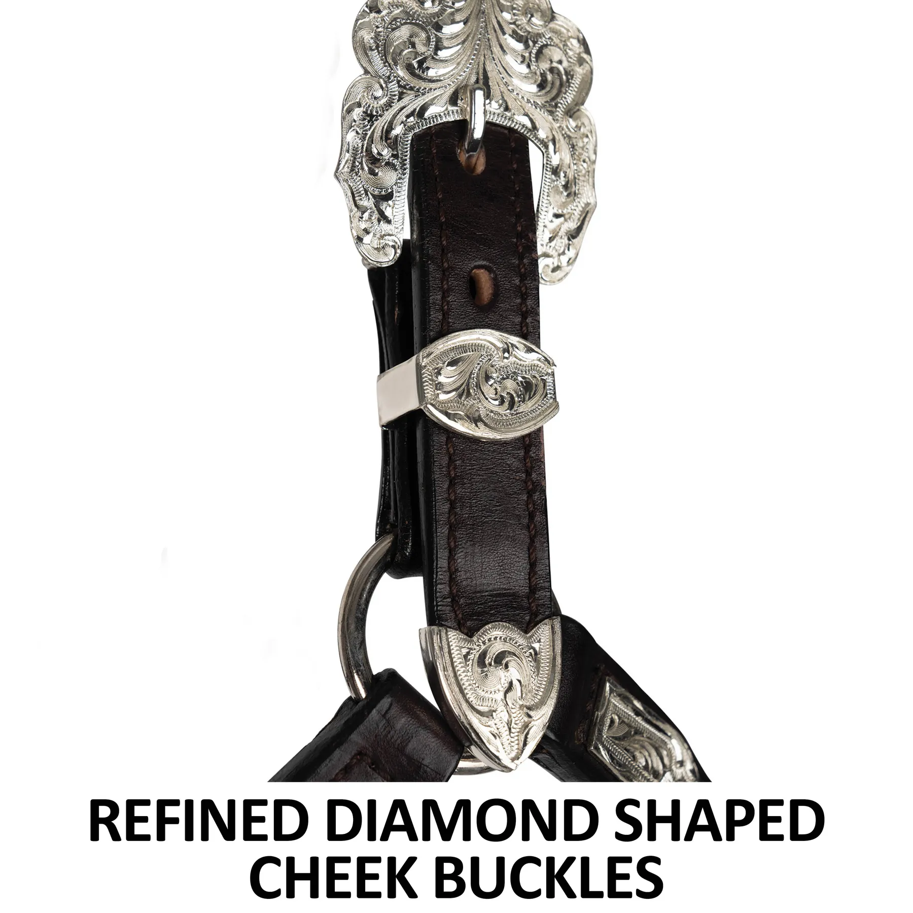Billy Royal® Scalloped Silver Western Horse Show Halter 3 Billy Royal® Scalloped Silver Western Horse Show Halter - Image 3