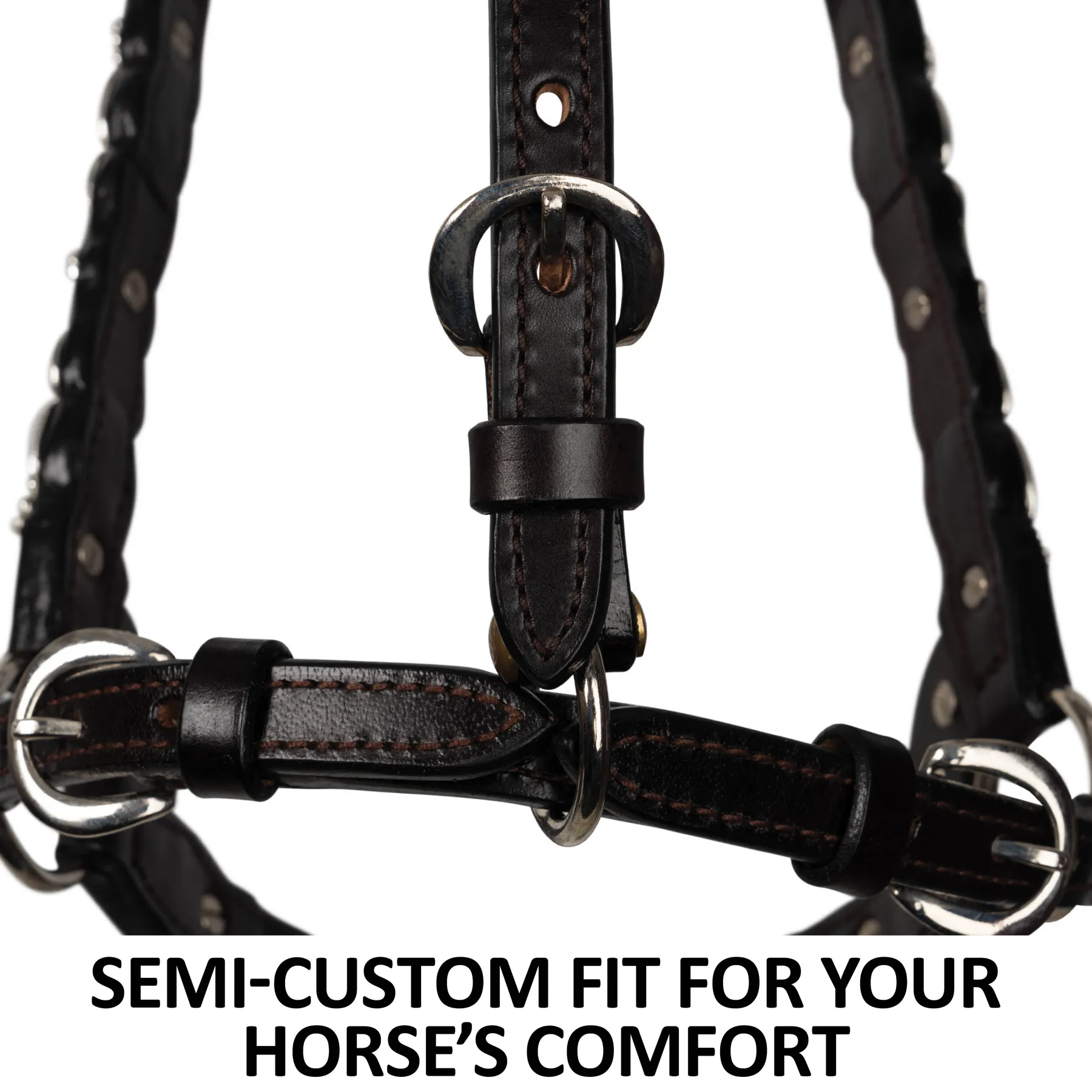 Billy Royal® Scalloped Silver Western Horse Show Halter 4 Billy Royal® Scalloped Silver Western Horse Show Halter - Image 4