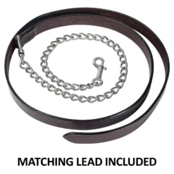 Double S Cassidy Show Halter With Lead -Weaver Leather Shop 43831 feature d overlay