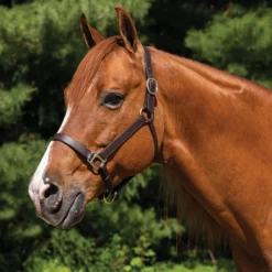 Premier® Premier Lancaster Fixed Throat Leather Halter