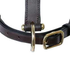 Premier® Premier Lancaster Fixed Throat Leather Halter -Weaver Leather Shop 43867 alt c