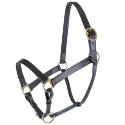 Premier® Premier Lancaster Fixed Throat Leather Halter -Weaver Leather Shop 43867 havana