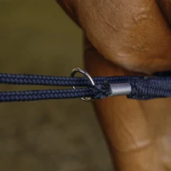 Schneiders® Lunging Aid -Weaver Leather Shop 44809 alt c