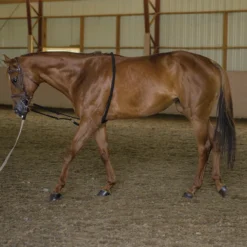 Schneiders® Lunging Aid -Weaver Leather Shop 44809 alt j