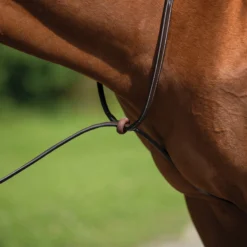 Schneiders® Raised Standing Martingale With Fancy Stitching 12 Schneiders® Raised Standing Martingale With Fancy Stitching -Weaver Leather Shop 44910 alt b