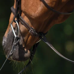 Schneiders® Raised Standing Martingale With Fancy Stitching 15 Schneiders® Raised Standing Martingale With Fancy Stitching -Weaver Leather Shop 44910 alt e